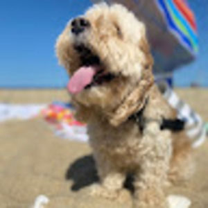 Meet your Posher, Sehila